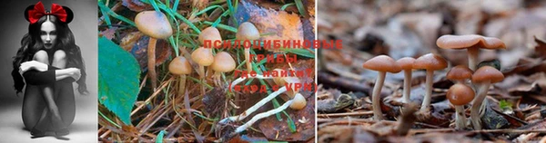 MDMA Premium VHQ Белоозёрский