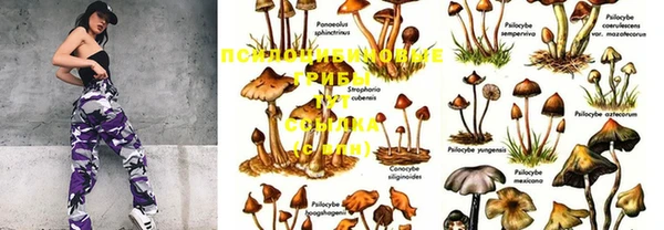 MDMA Premium VHQ Белоозёрский