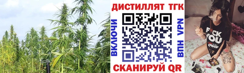 Дистиллят ТГК концентрат Ачхой-Мартан