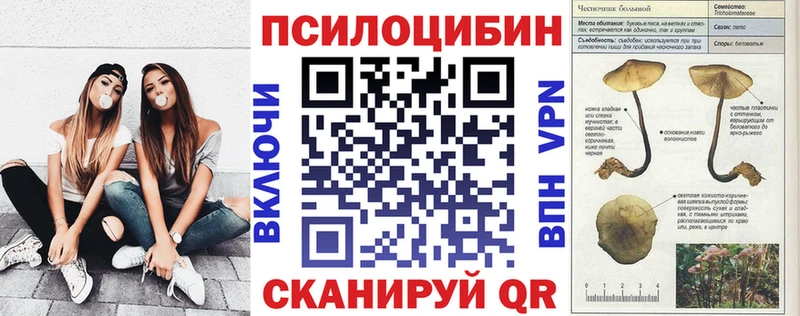Галлюциногенные грибы GOLDEN TEACHER  где найти наркотики  мега ссылка  Ачхой-Мартан 