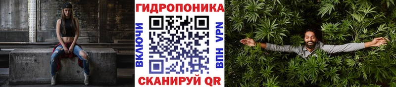 Марихуана OG Kush Ачхой-Мартан